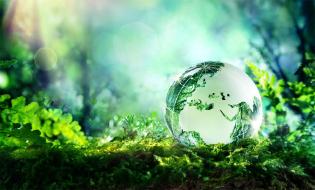 О сотрудничестве научного сообщества, бизнеса и государства в области защиты окружающей среды