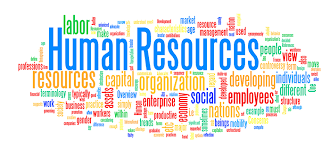 Маркетинговые и Digital инструменты в сфере управления человеческими ресурсами. HR на стыке непривычных функций